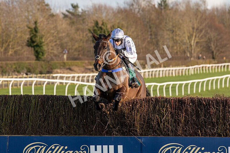 250225-Race 4-Master Breffni-6324 - Race 4