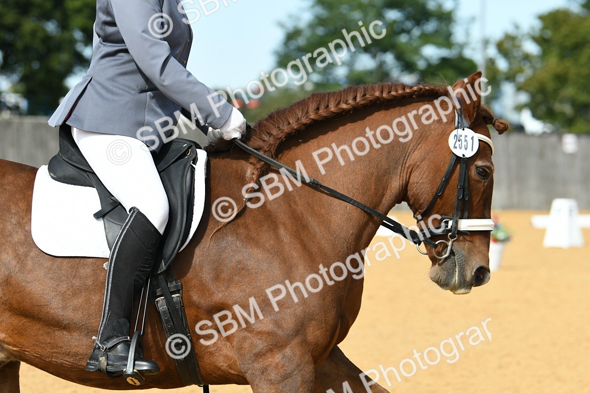 SBM_20912 - D13 - Grand Tour Championship - Prelim 12