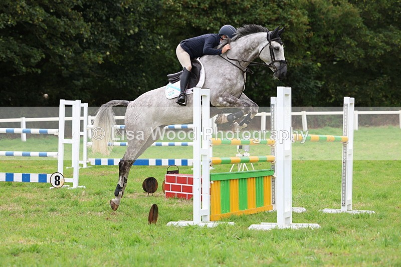 3E7A8527 - Class 8: Senior Foxhunter/1.20m open