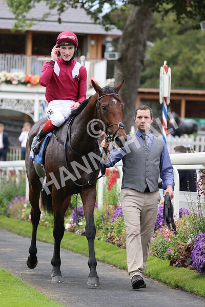 yr24092021r5-33 - Race 5 3.50pm William Hill Leading On Course Bookmaker Stakes