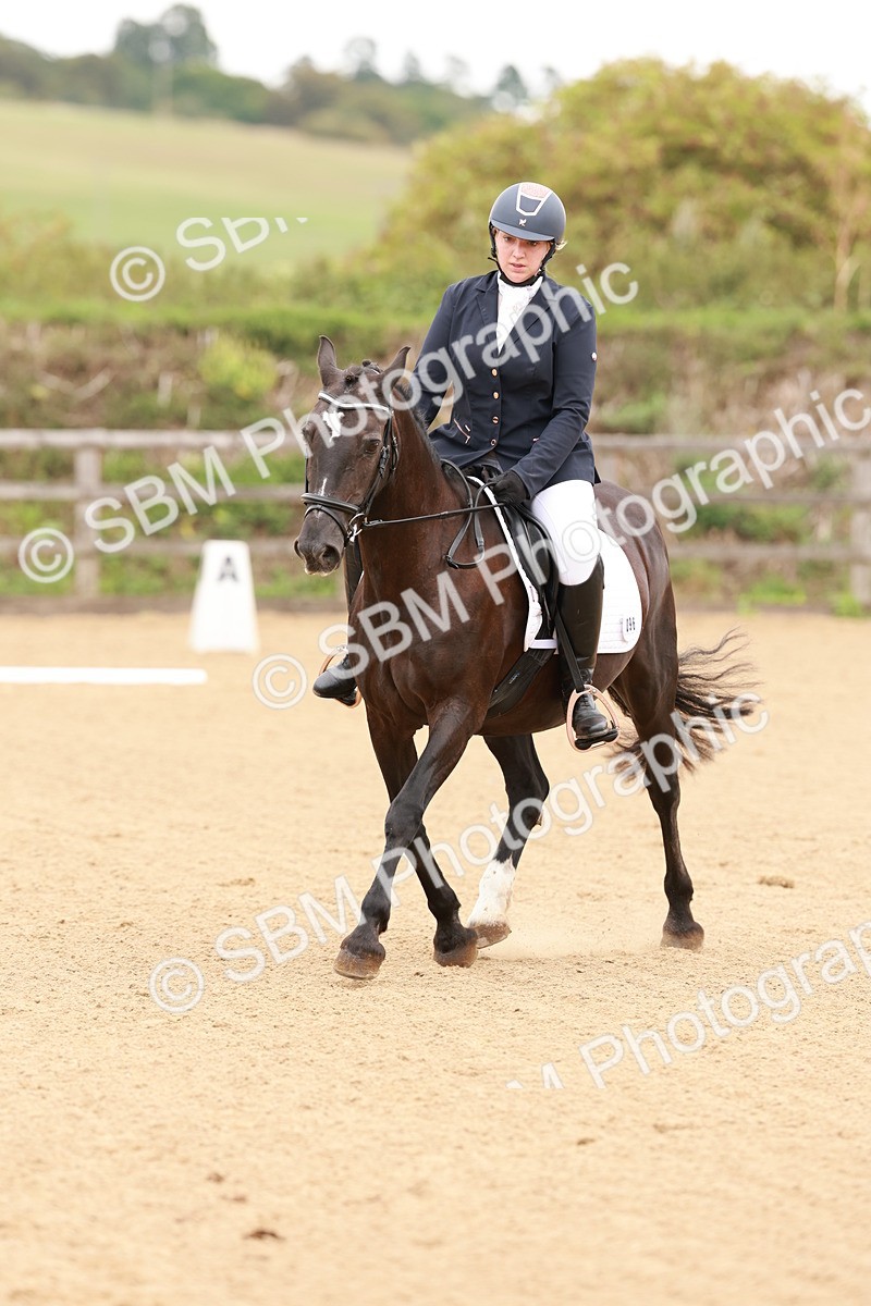 SBM_001051 - Intro 2