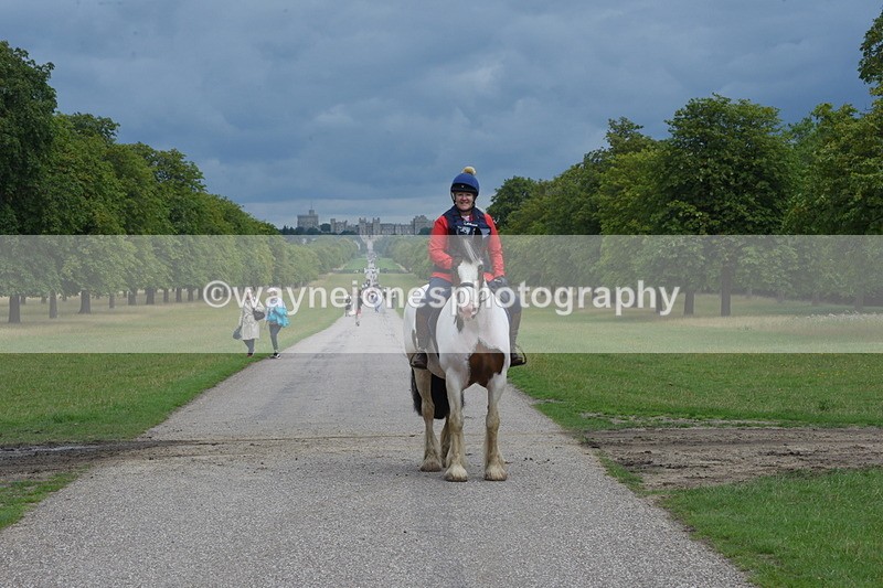 TT3_9246 - Time at Crossing 09:22 to 11:26