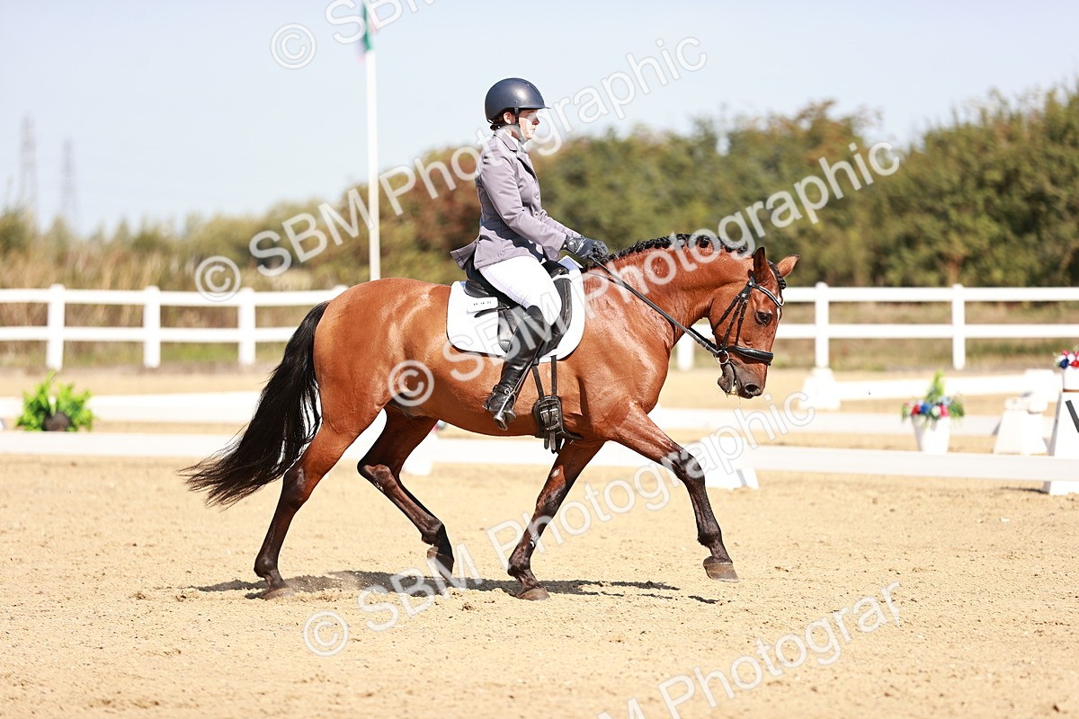 SBM_004508 - Class 12 - Novice 5 - 10.31-11.41