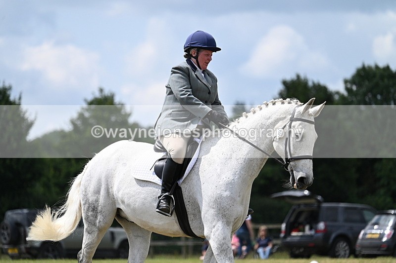 WJ7_5000 - Time 11:22 to 11:51