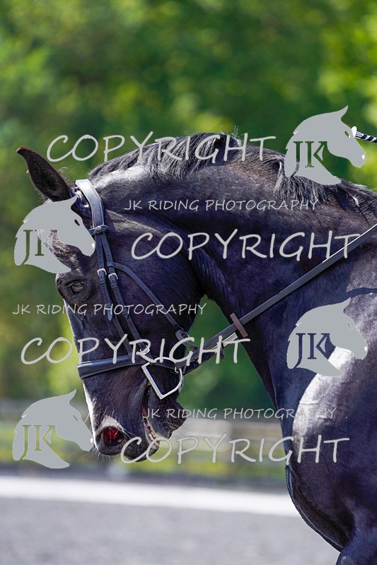 _DSC3931 - NOVICE 1