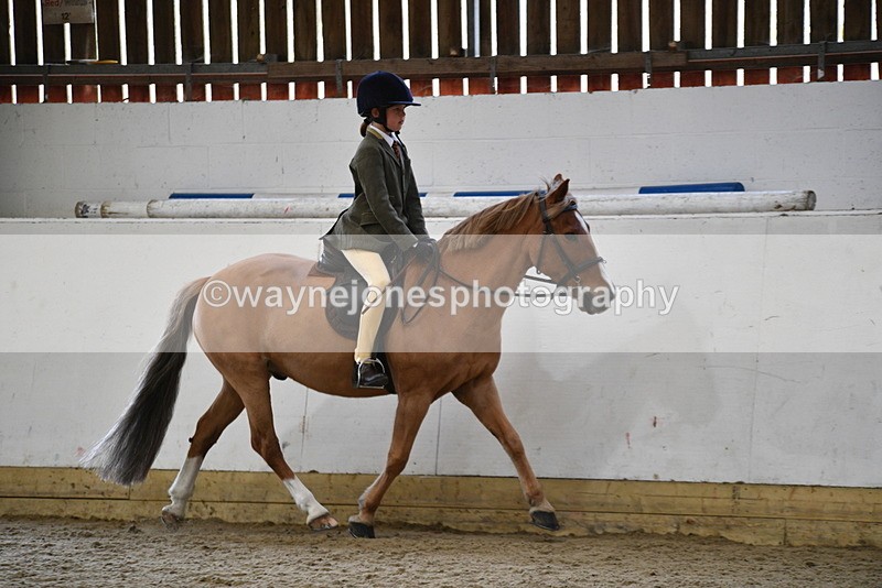 WJ5_6243 - Class 9 Ridden Veteran