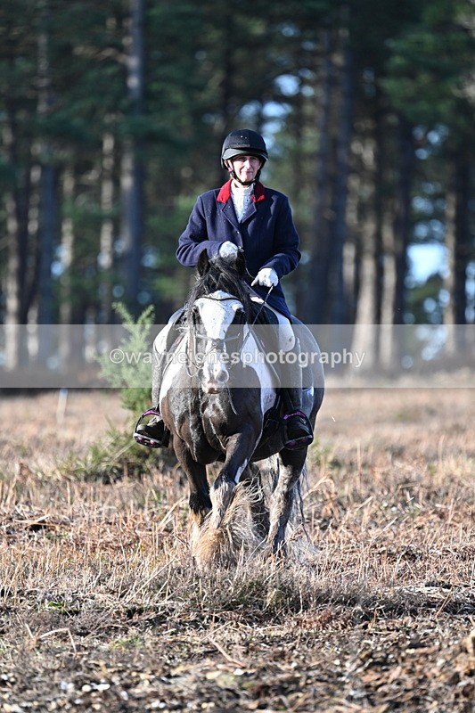 WJ7_7280 - Line 3 (no line 4 or 5)