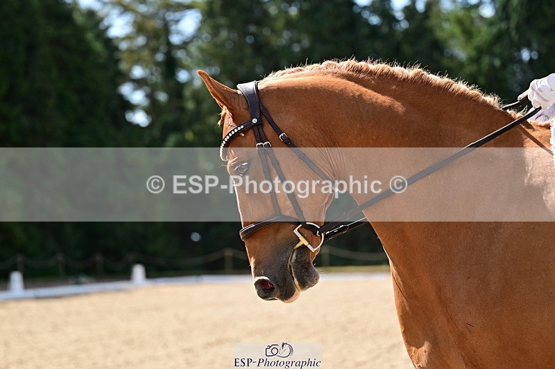 260731A-105538-00153 - Elementary Bronze 10.30 - Break
