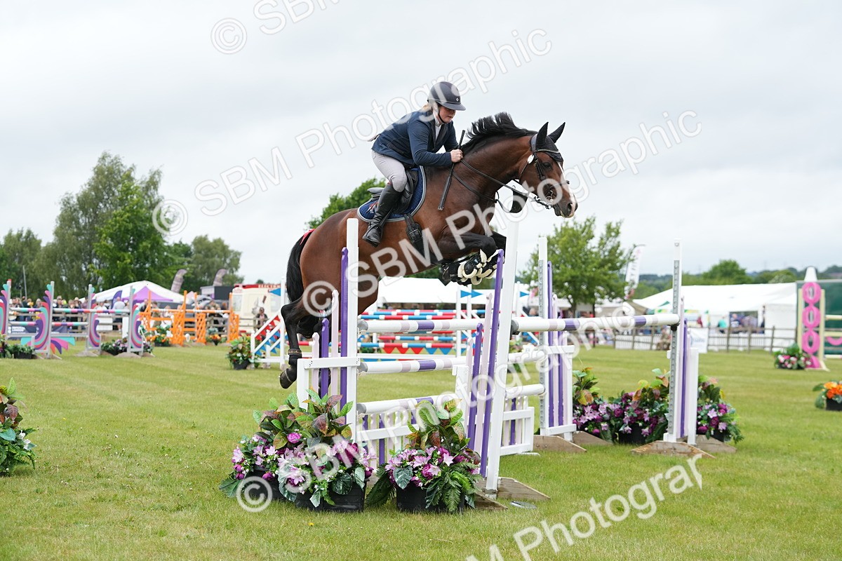 SBM_03326 - Class 201 - British Horse Feeds Speedi Beet Horse of the Year Show Grade  C