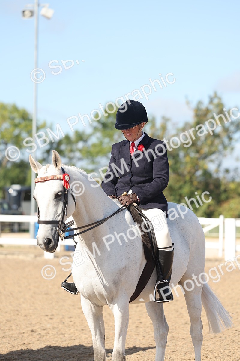 SBM_22682 - Class 805 - Ridden Veteran Horse