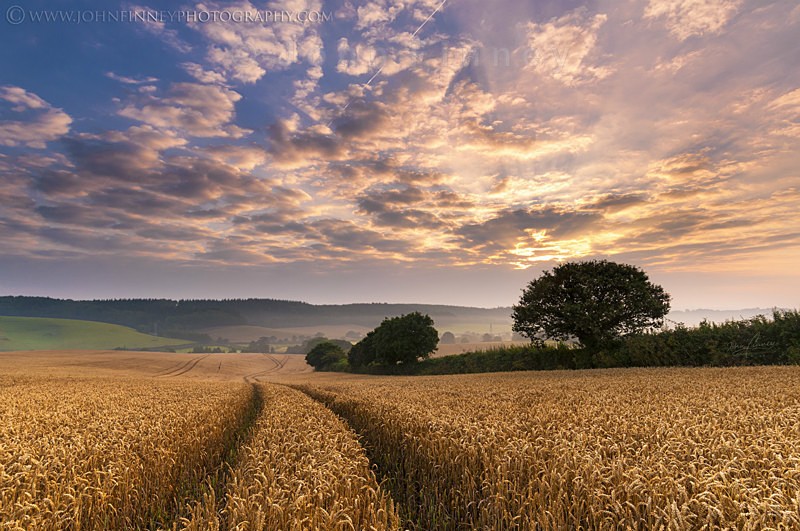 Devon Sunrise - South of England