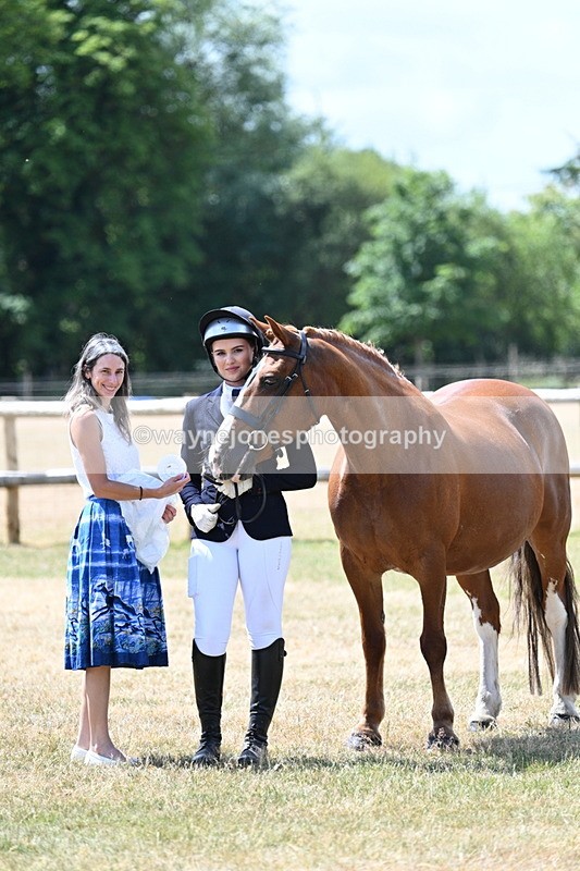 WJ7_2050 - Class 4a Prettiest Mare 14.2hh and over hand