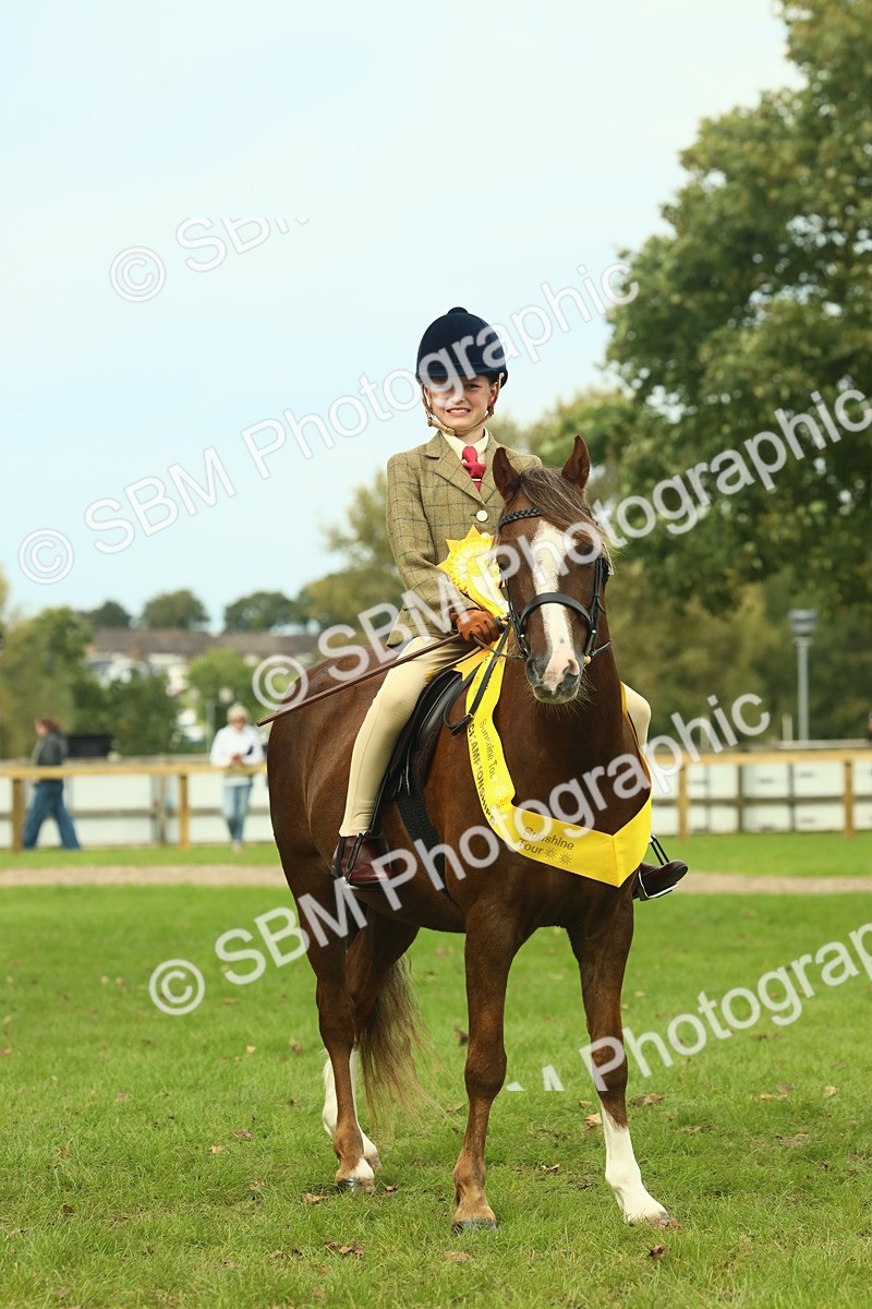 SBM_70017 - S59 - Mountain & Moorland Ridden Small Breeds