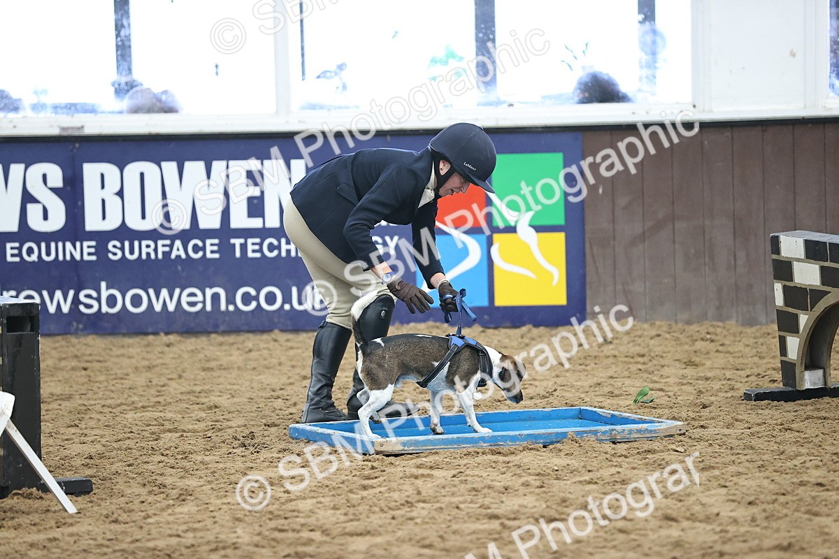 SBM_001181 - Class 3 - Horse & Hound 60cm