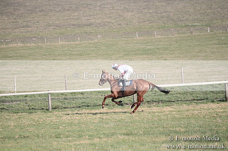 PtP 230219 183 - Vine & Craven Point-To-Point - Barbury 23/02/19