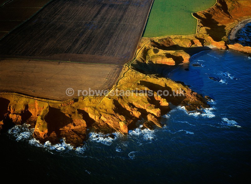 The Deils Heid at Seaton Seacliffs on the east coast of Scotland