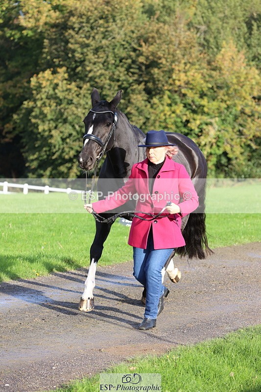 251026A-095342-22561 - D-315-Georgina.Marks