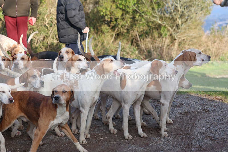 3E7A5299 - FBH Carn Brea 26.12.2025