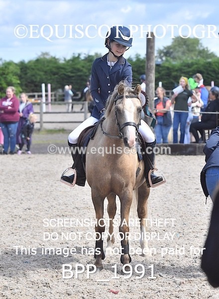 BPP_1991 - DERBY CLASS 5 - 60CM