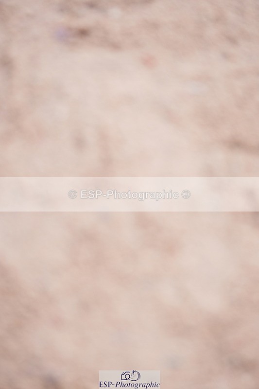 240804A-113252-10635 - Cls 43 5 Yr Old Champs