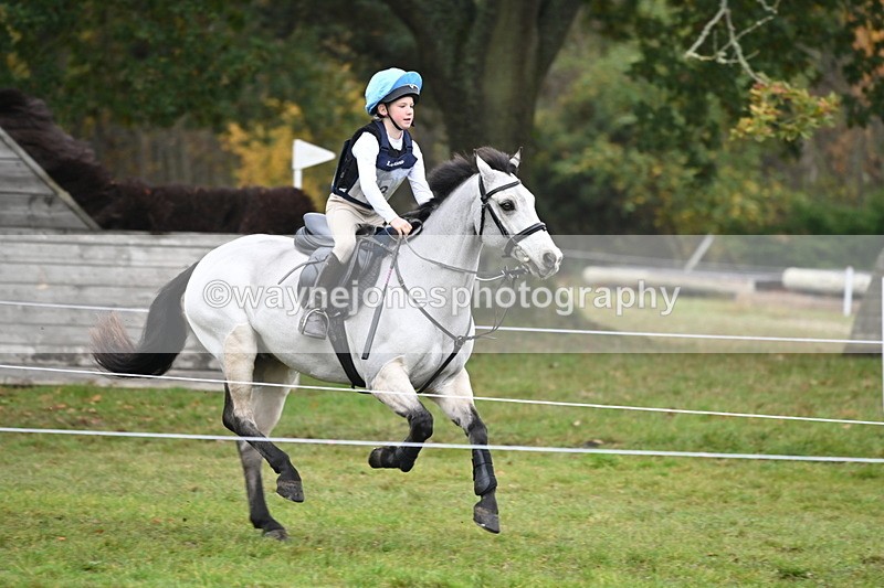 WJ6_2234 - 80cm Cam 1 Time 10:47 to 11:22