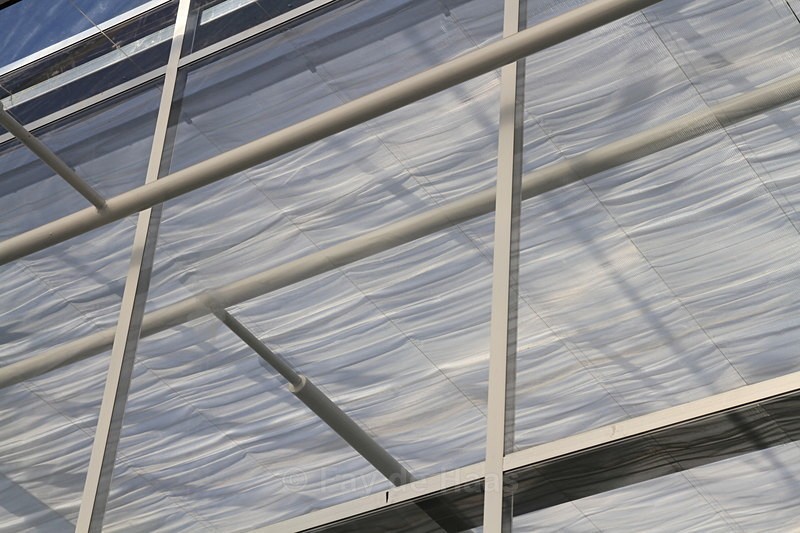 IMG_4559 - Manmade lines
