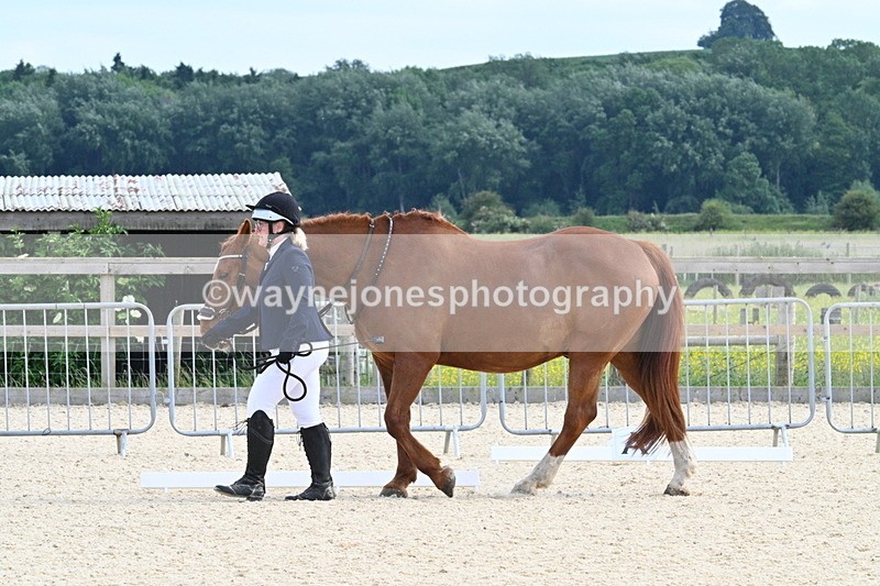 WJ7_8027 - Time 15:39 to 16:08