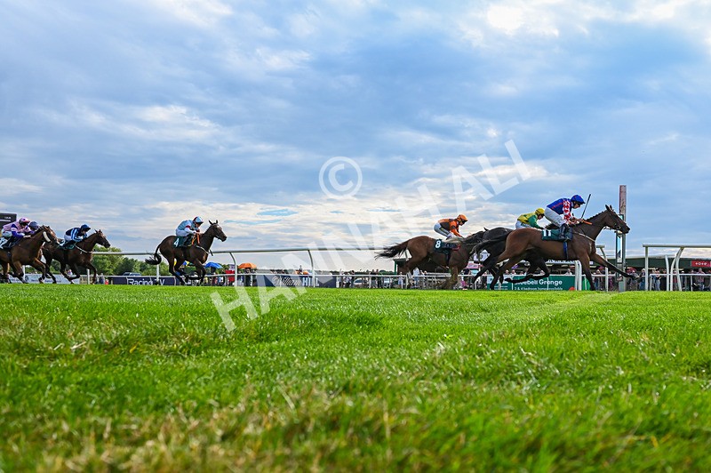 260826-Race 6-Lanarra-6022 - Race 6 16:52 Celebrate National Racehorse Week Classified Stakes