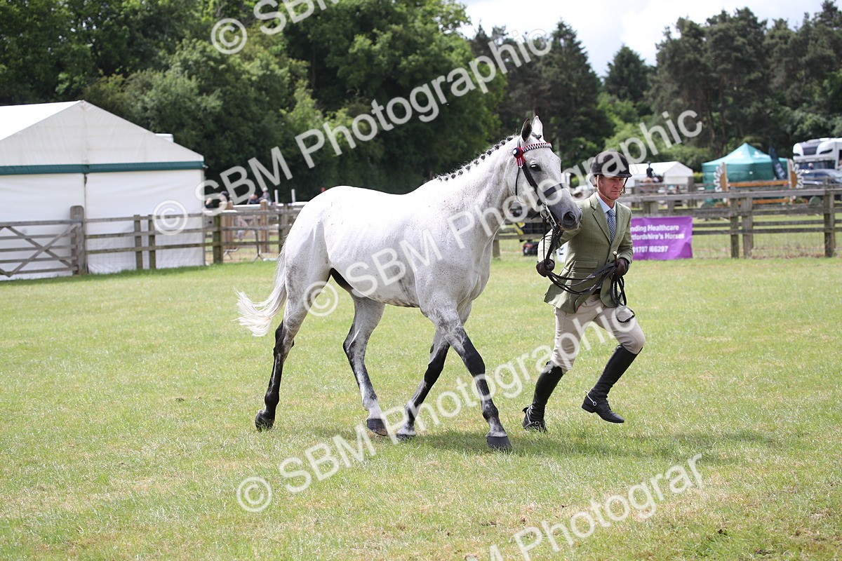 SBM_14235 - Class 113-114 - Retraining of Racehorses Ridden