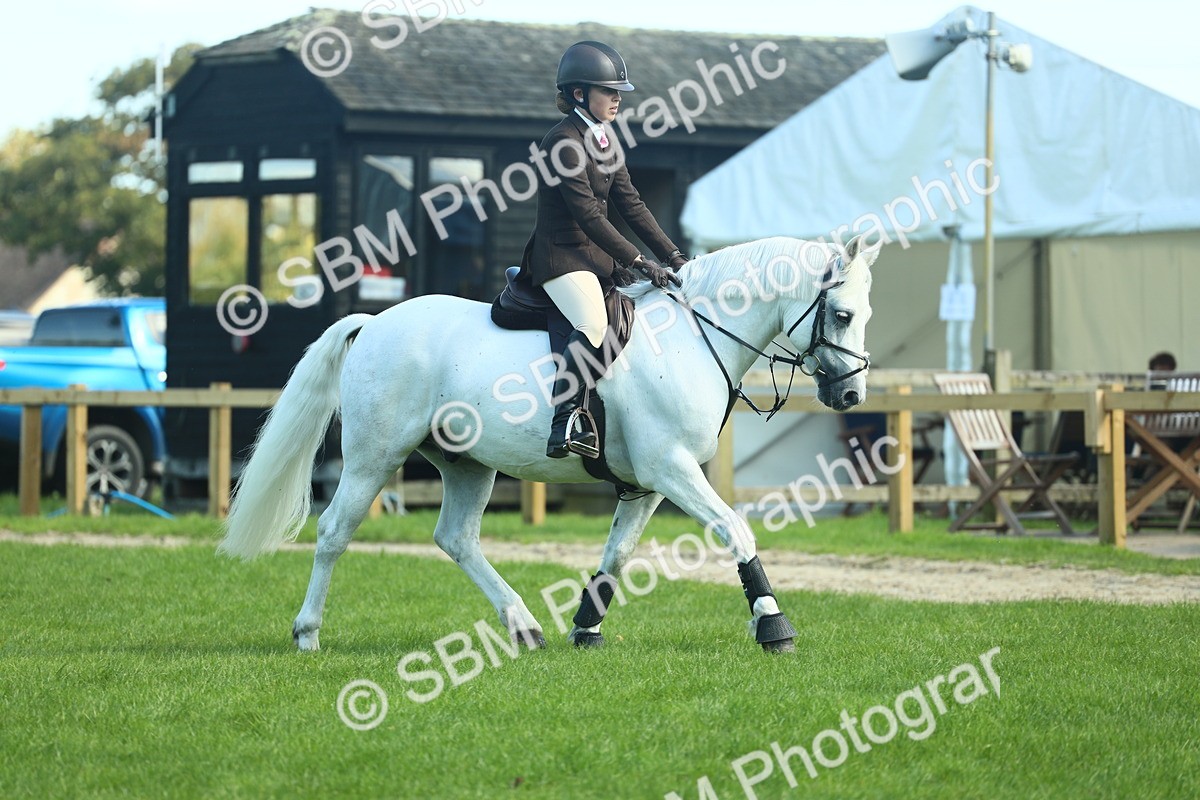 SBM_39217 - S29 - Novice & Newcomers Working Hunter Pony