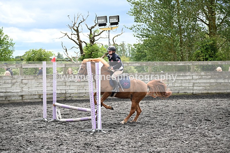 WJ6_0173 - Class 13 Novice 60cm