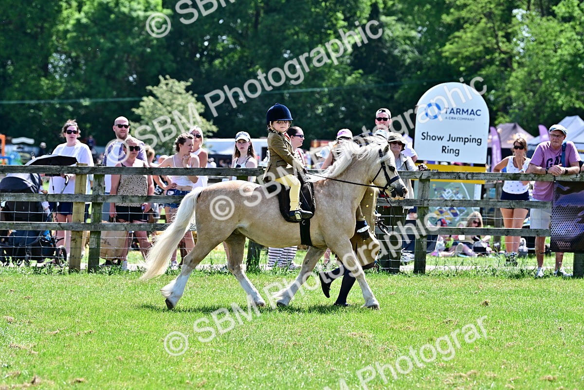 SBM_05788 - Class 59-60 - TSR M&M  Lear Rein and First Ridden Amateur of the year