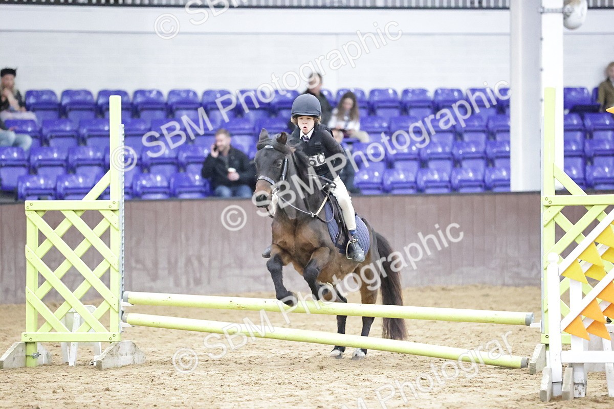 SBM_003521 - Class 2 - 50cm