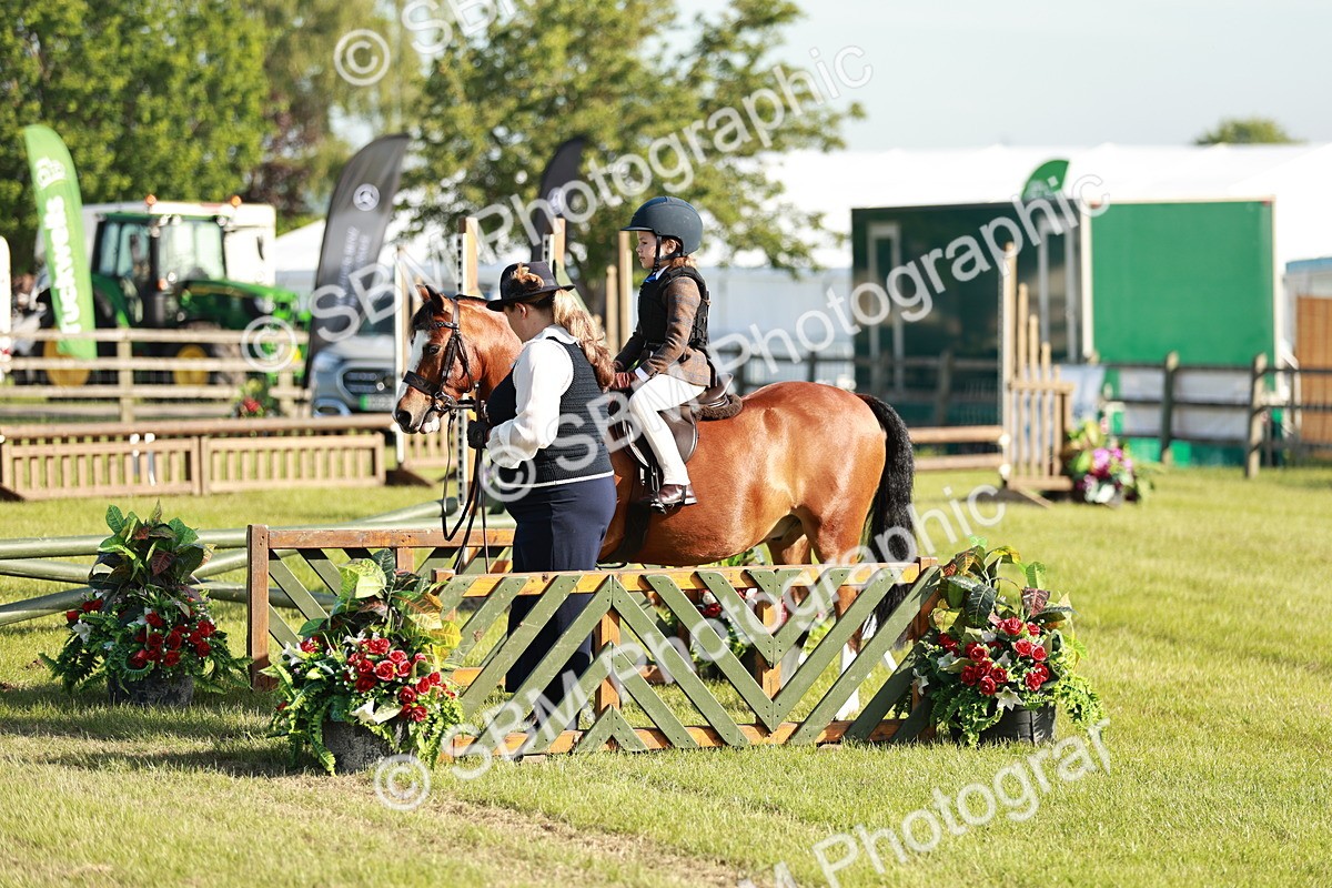 SBM_11145 - Class 106-107 - BSPS LIHS Working Sports Pony