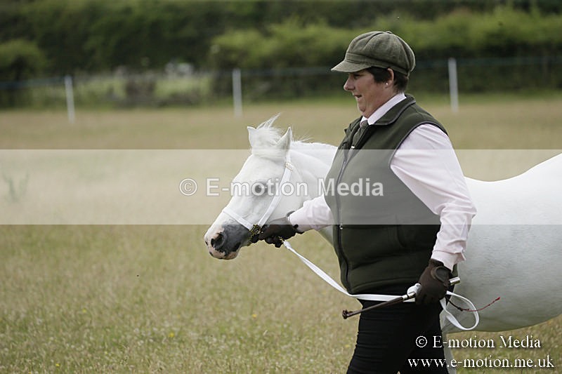 B230619-0507 - Bourne Valley Riding Club Summer Show 23/06/19