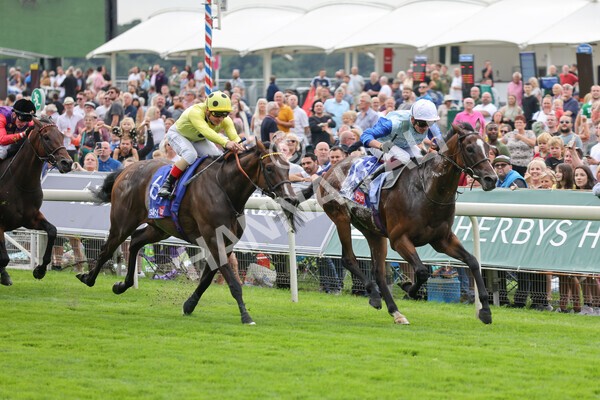 yr20082021r1-15 - Race 1 1.50pm Sky Bet Stakes