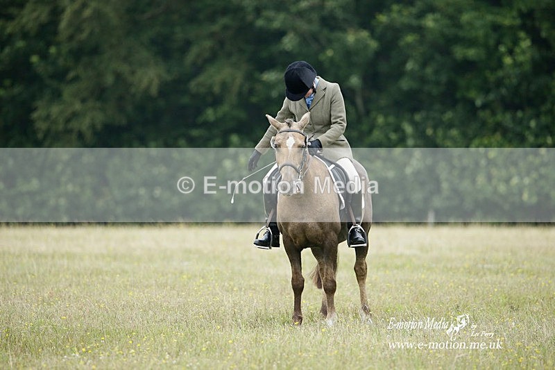 BVRC 030721 528 - Bourne Valley Riding Club Dressage 03/07/21