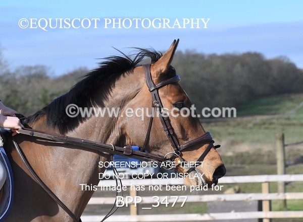 BPP_3477 - CLASS 4 Senior British Novice/ 90cm Open