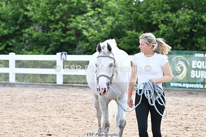 240717A-163809-03460 - Trot Up 4pm to 5pm