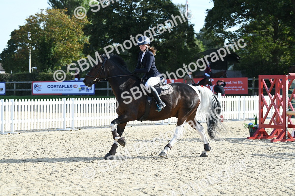SBM_60518 - j25 - Junior Horse 80cm Championship