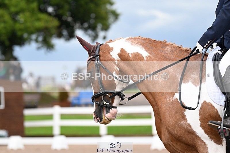 250907-103800-06929 - 016-Sarah.canningJohnny.Knoxville