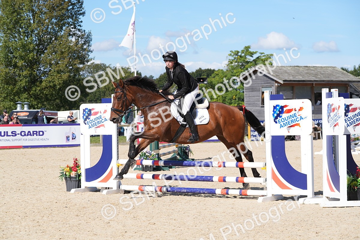 SBM_38798 - J21 - Junior Horse 60cm Championship