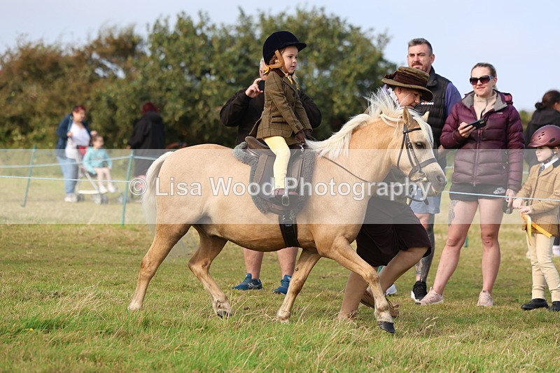 3E7A3461 - Class 2: Lead rein