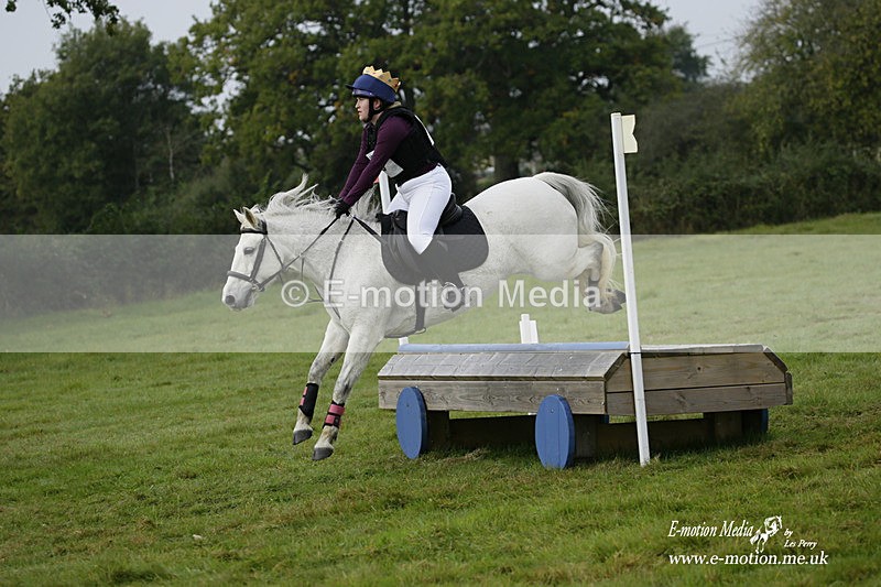  WWHT 171021 0835 - Open Novice (0.80m)  17/10/21