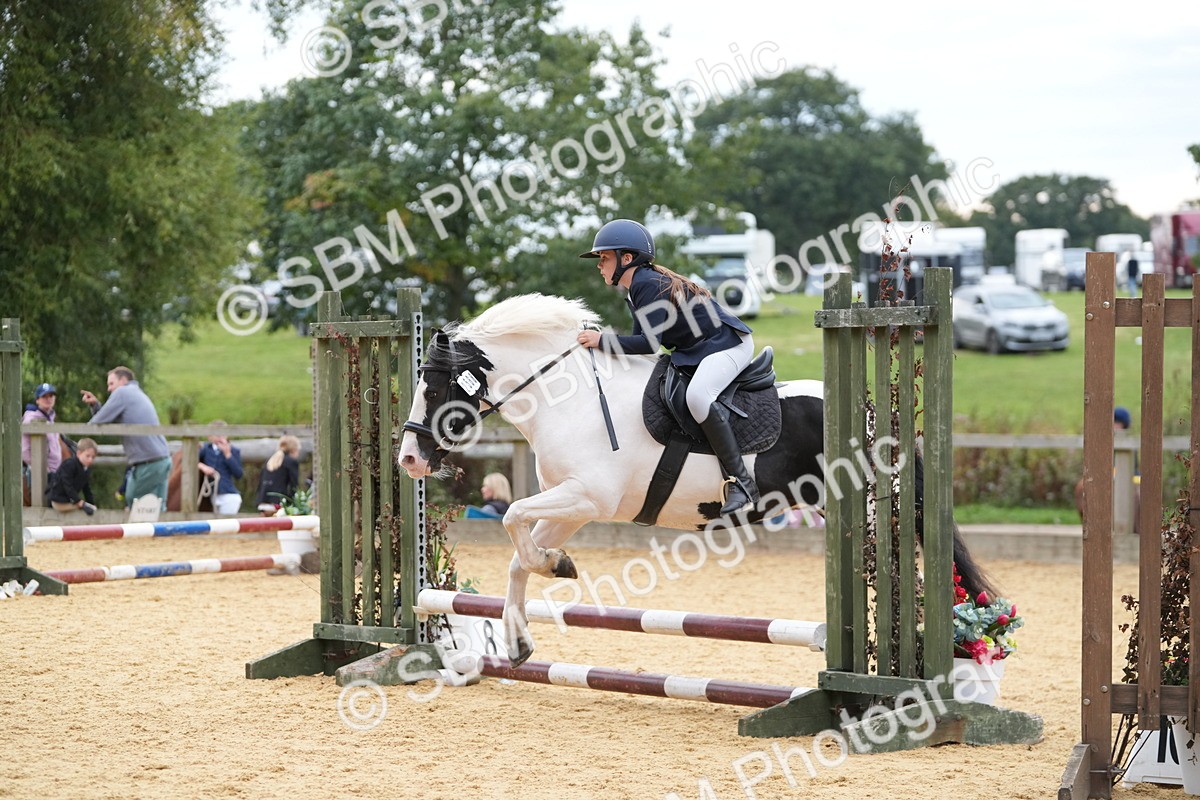 SBM_74811 - J4 - Mini Tour Junior Pony 45cm Championship