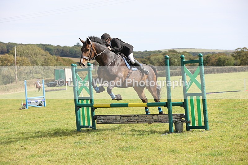 JPP_8812 - Class 2: Trekenning: 80cm Showjumping