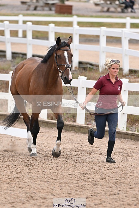 250716-143131-01167 - Trot Up 2.30 to 3.30