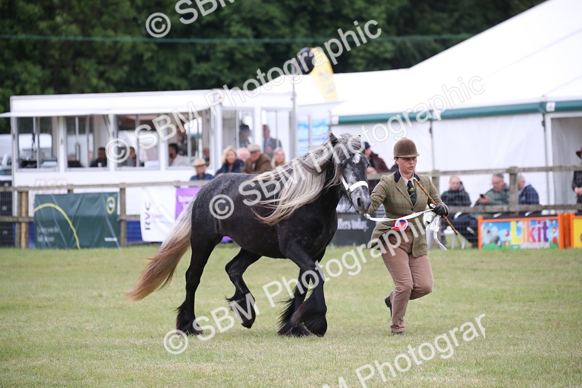 SBM_09856 - Ch 50 - Price Family Supreme In Hand