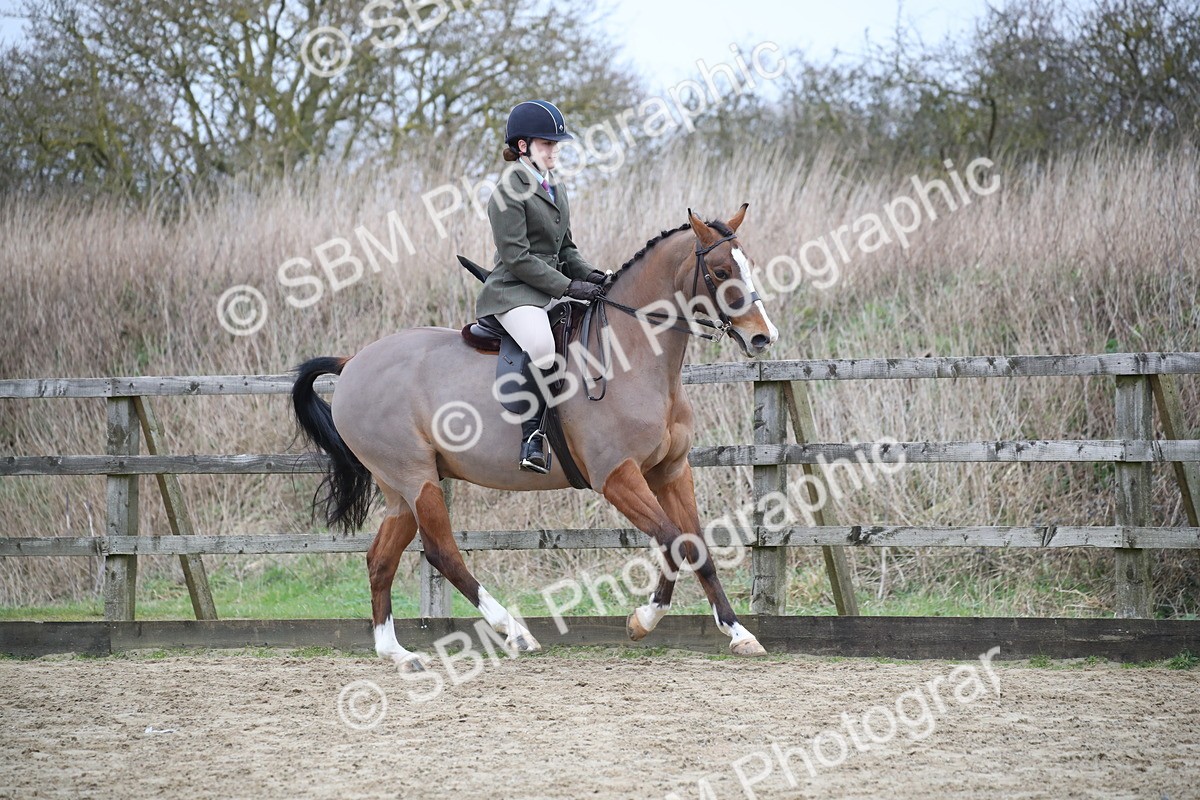 SBM_004656 - Class 5-9 - NPS In Hand-Show Hunter-Intermediate Ridden Inc Ridden Championship