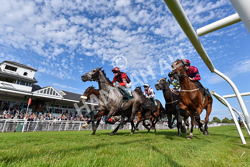 100625-Race 3-Stellarmasterpiece-4099 - Race 3